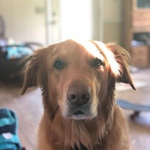 Meet your Posher, Jackson